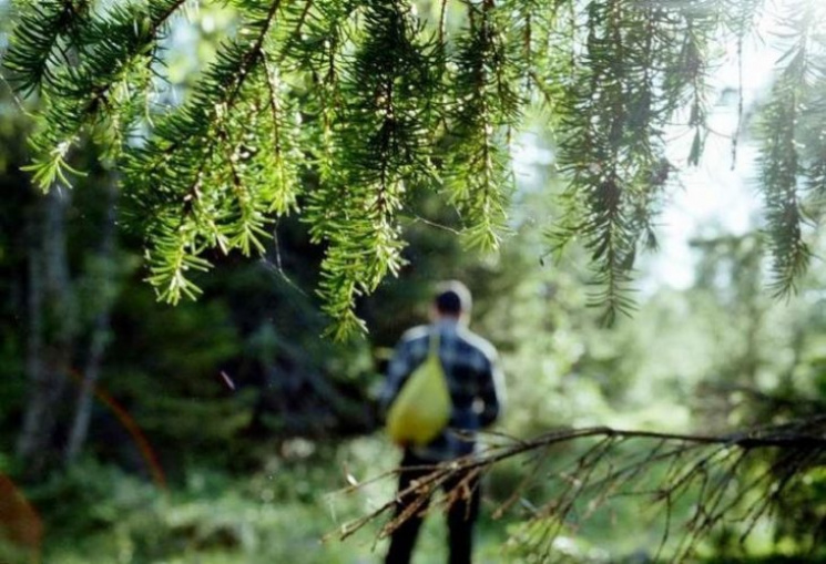 На Іршавщині у лісі розшукали 12-річного…