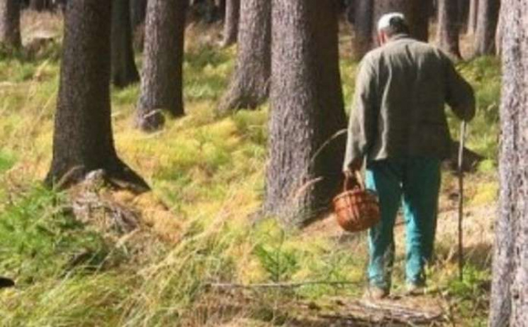 На Мукачівщині заблукав 77-річний грибни…