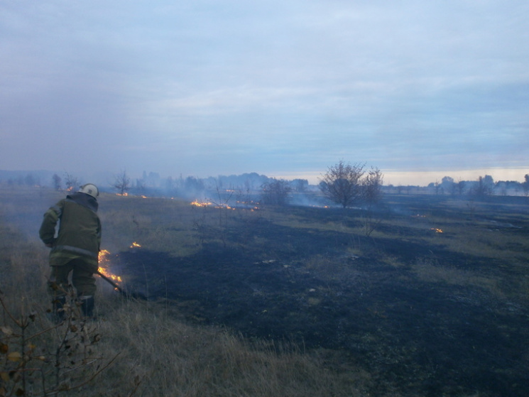 На Полтавщині спалахнуло півтори гектари…