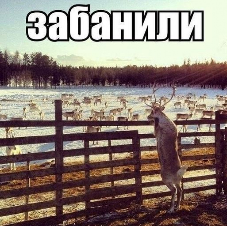 #менезабанив: Как украинцы отвлекаются о…