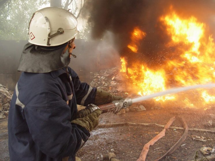 Харківські рятувальники витягнули з пала…