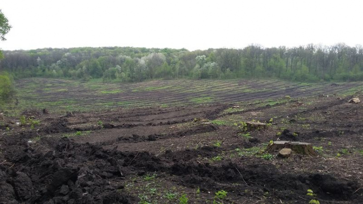 Лісівники Хмельниччини розпочали осінню…