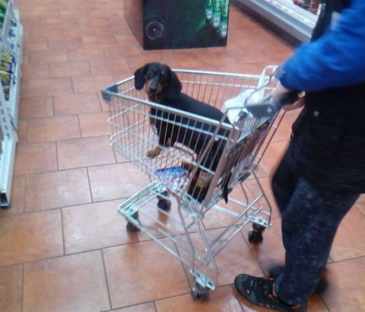В Днипре покупатели супермаркета возмуща…