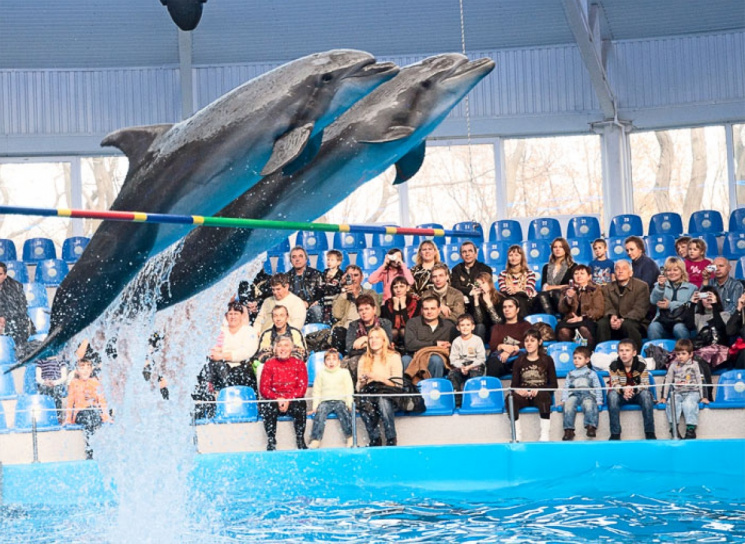 У Києві закрився скандальний дельфінарій…