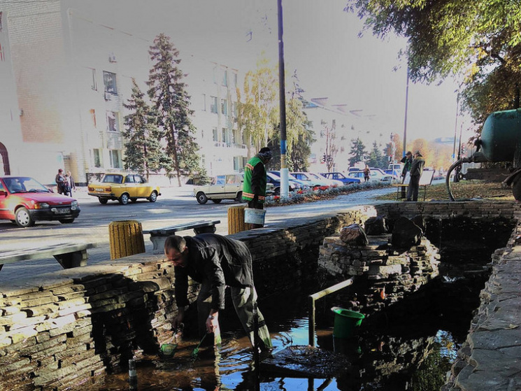 На Дніпропетровщині рибок з фонтану пере…