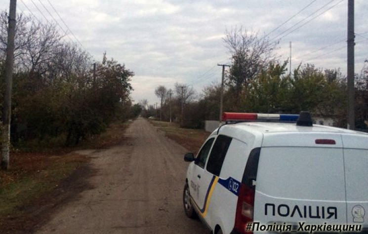Поліція розслідує ДТП, у якій на Харківщ…