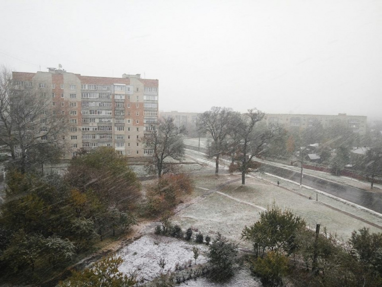 На Сумщині випав перший сніг (ФОТО)…