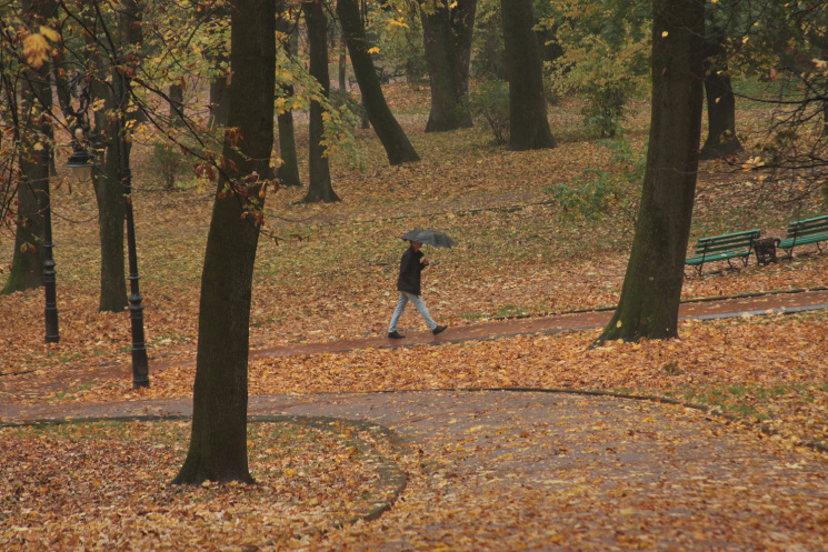 Як осінній Львів засипає листям і залива…