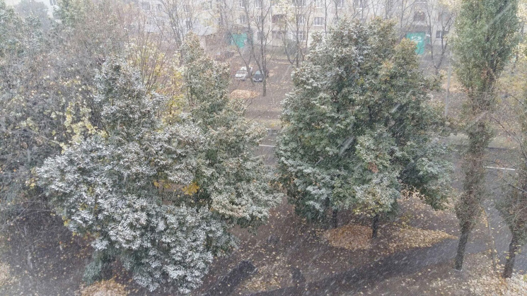 В Харькове по-настоящему заснежило (ВИДЕ…