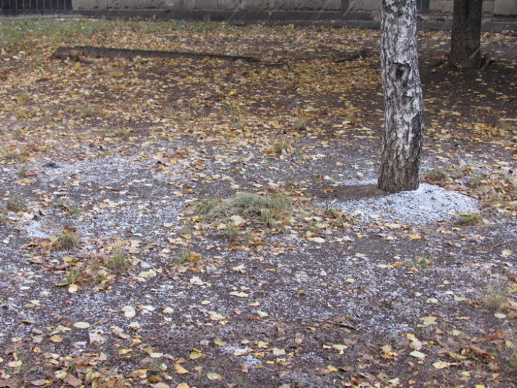 Дощ, сніг та сильний вітер: На Черкащині…