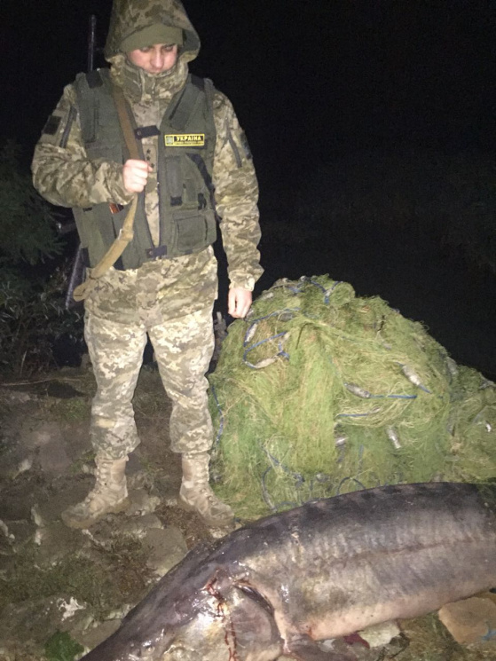 На Одещині браконьєри виловили червонокн…
