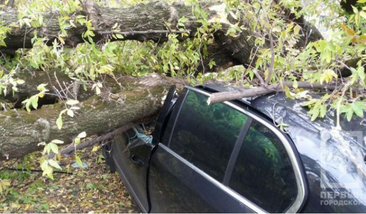 В Кривом Роге дерево упало на машину: Во…