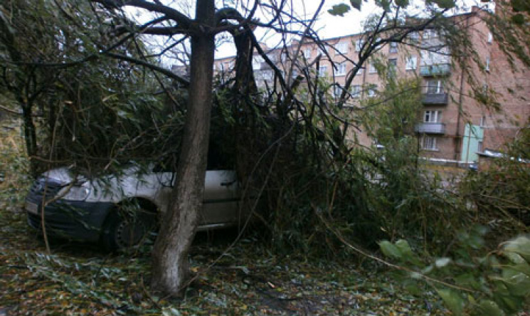 На Сумщині дерево впало на автівку…