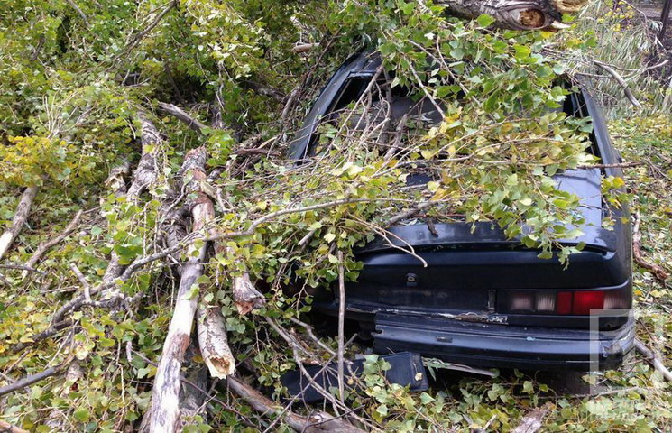 В Кривом Роге дерево упало на припаркова…