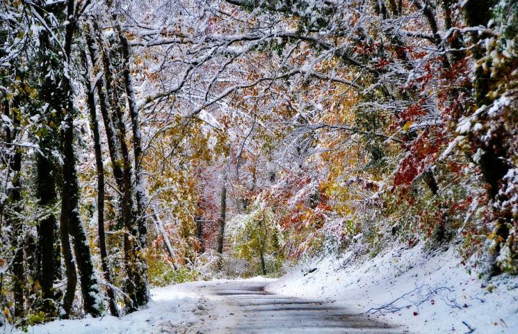 Київська зима не за горами: Перший сніг…