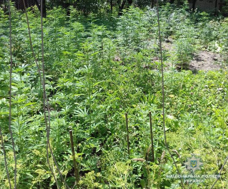 Поліцейські зібрали на Вінниччині чимали…