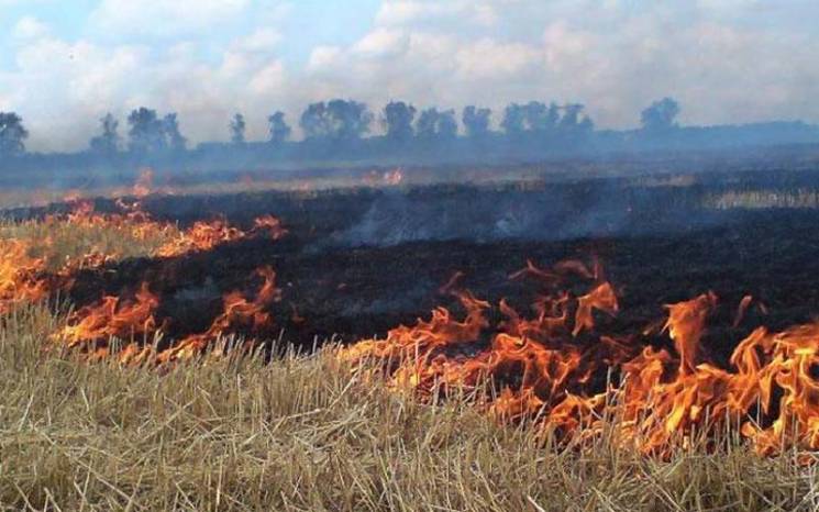 Львівщині загрожують масштабні пожежі…