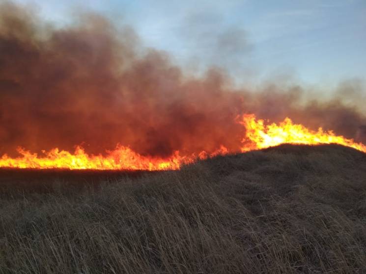 На Херсонщині вигоріли три гектари сухос…