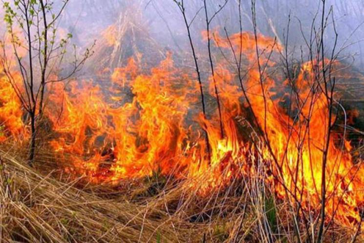 На Вінниччині почастішали випадки пожеж…