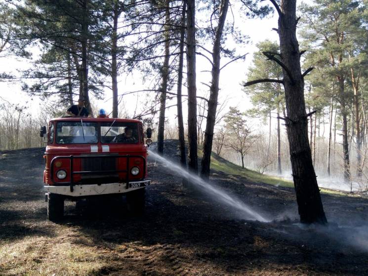 На Херсонщині спалахнув ліс (ФОТО)…