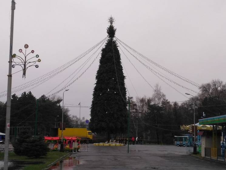 У центрі Дніпра новорічну ялинку створят…