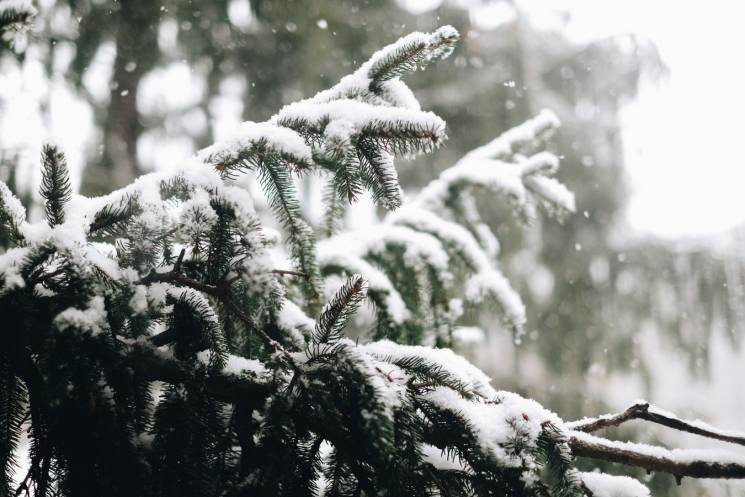 На Львівщині випав перший сніг (ВІДЕО)…