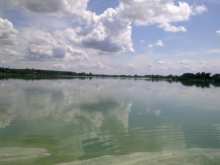 Справжнє жахіття: У київському озері вия…