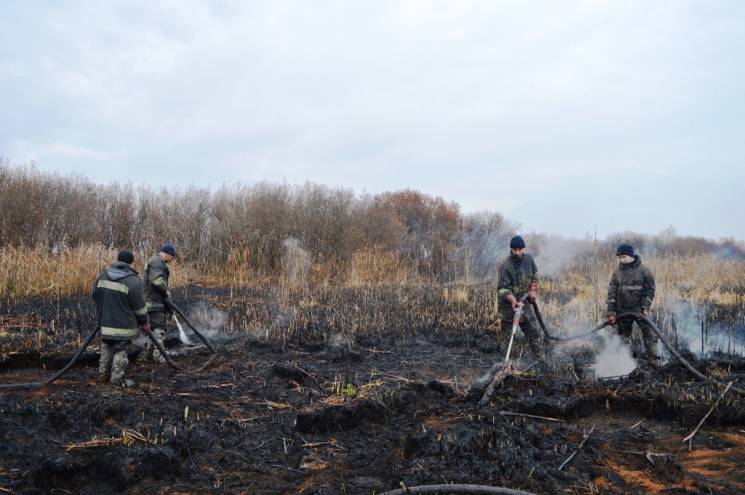 Экологическая катастрофа: На Черниговщин…
