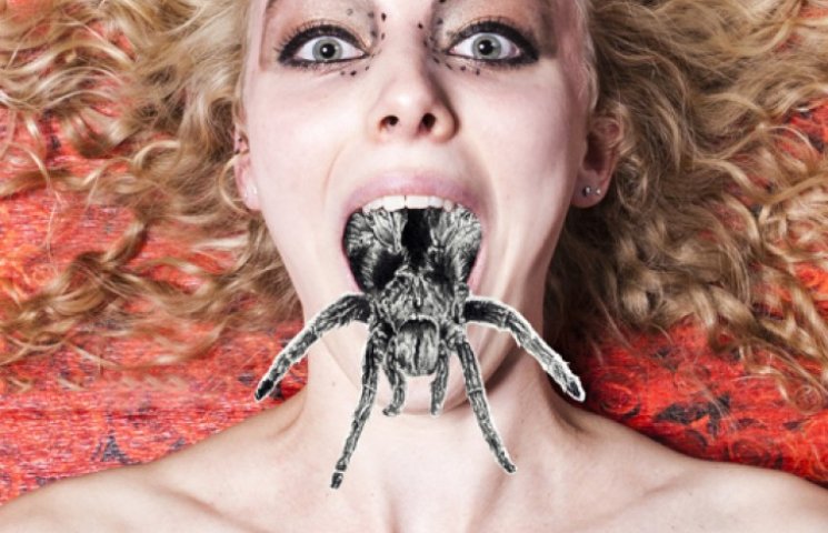 Девушка с большим пауком во рту шокирова…