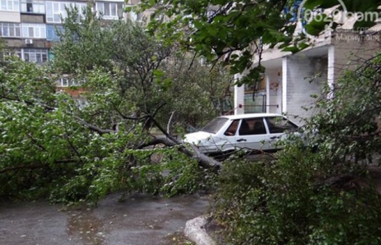 В Мариуполе ураган валит деревья и срыва…