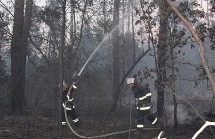 Как спасатели борются с лесным пожаром п…