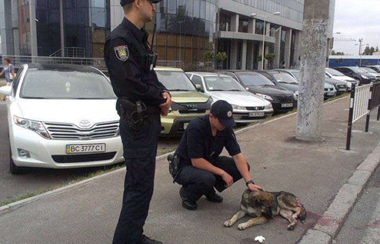 Як львівські поліцейські рятували собаку…