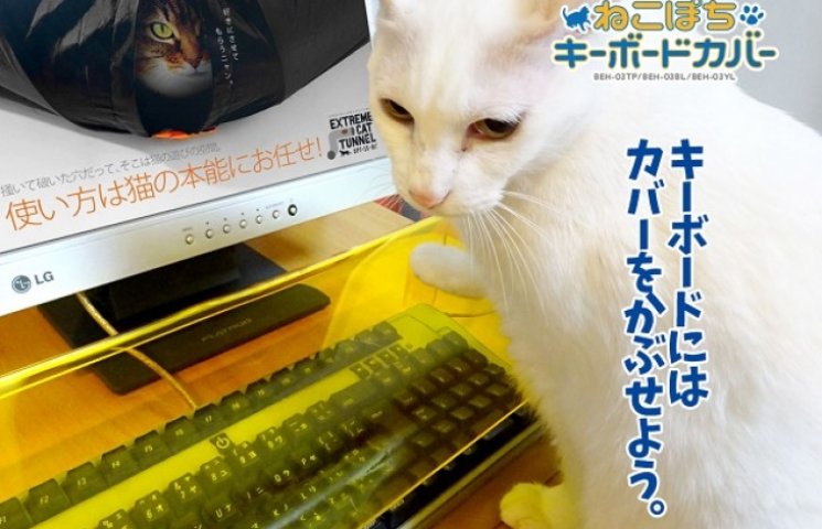 В Японии изобрели защиту клавиатуры от к…
