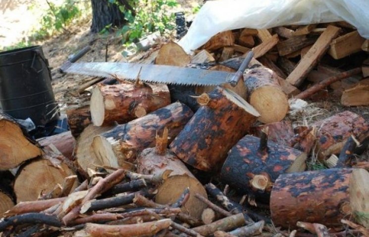 Бійці АТО заготовляють дрова на зиму…