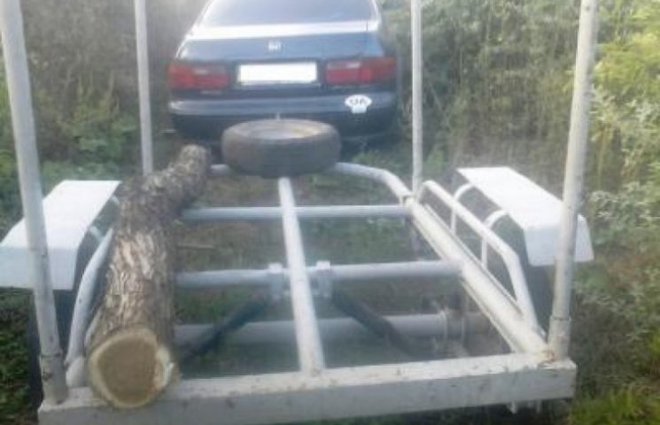 В Одесской области незаконно рубили лес…
