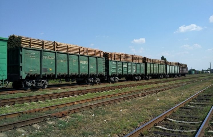 Наслідки масової вирубки лісу на Луганщи…