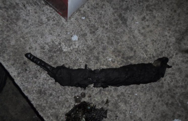 На Миколаївщині підпалили гараж депутата…