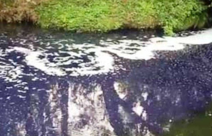 На Прикарпатье река из-за химикатов дваж…