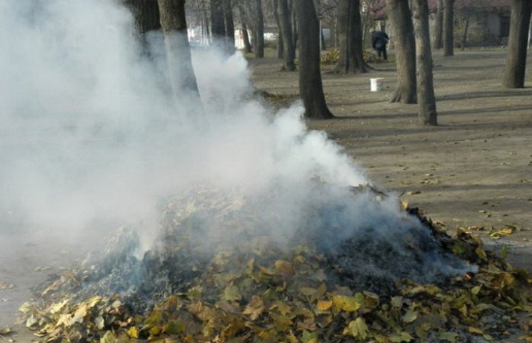 Дніпро вкриває смог від спалювання опало…