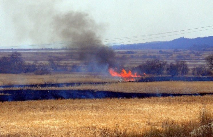 На Тернопільщині сталося понад 600 пожеж…