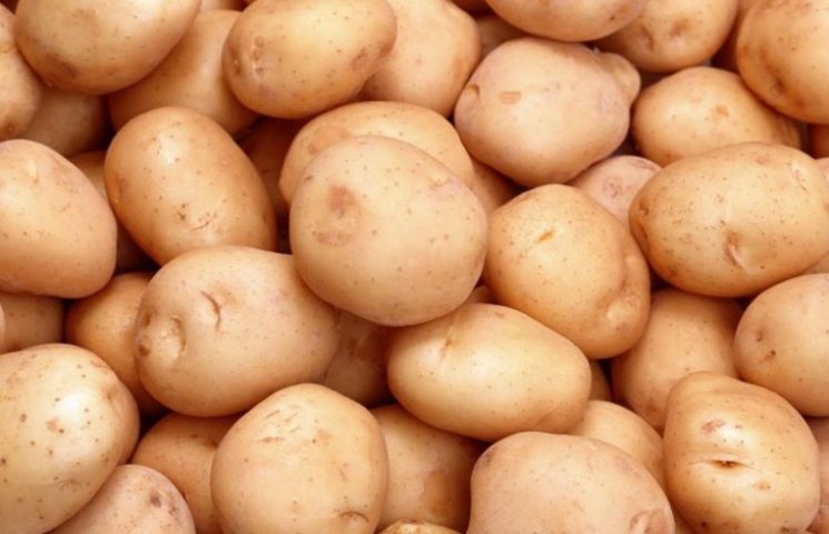 Найбільший завод переробки картоплі в Ук…