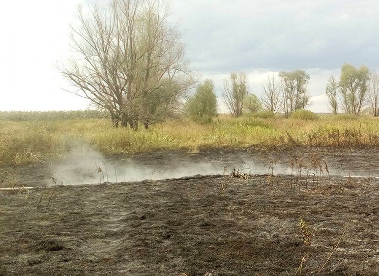 На Полтавщині вигоріло 4га сухостою…