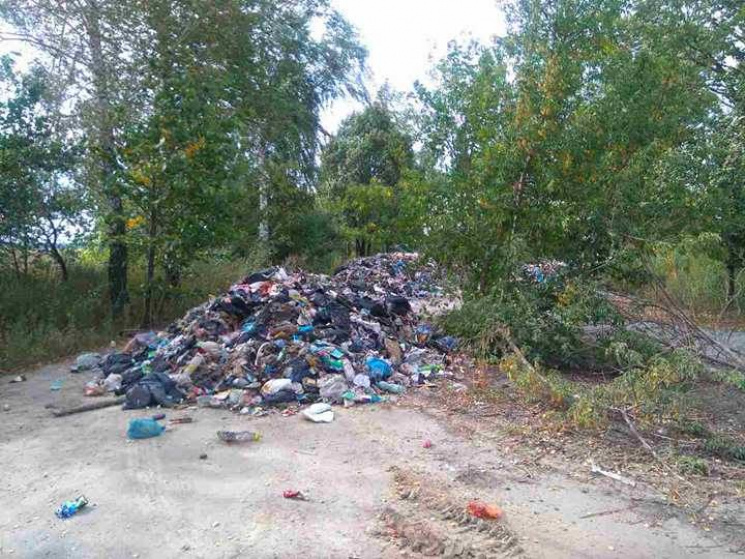 На Київщині "створили" стихійне сміттєзв…