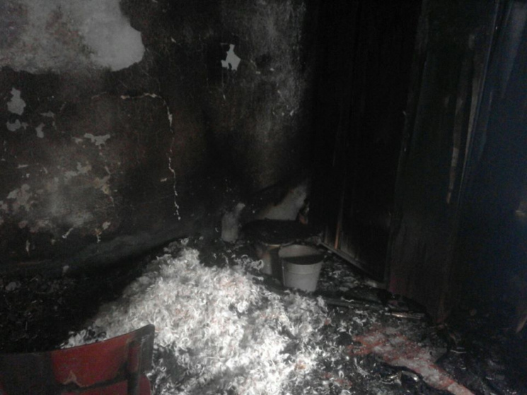 На Вінниччині у власному будинку згоріла…