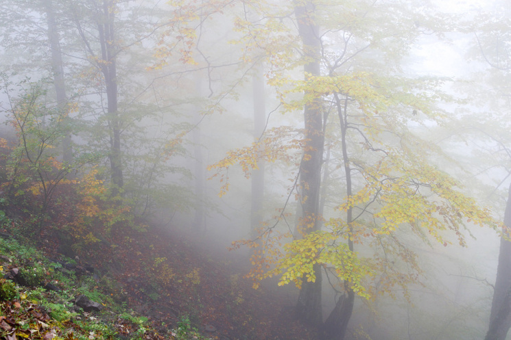 На Одещині синоптики обіцяють туман…