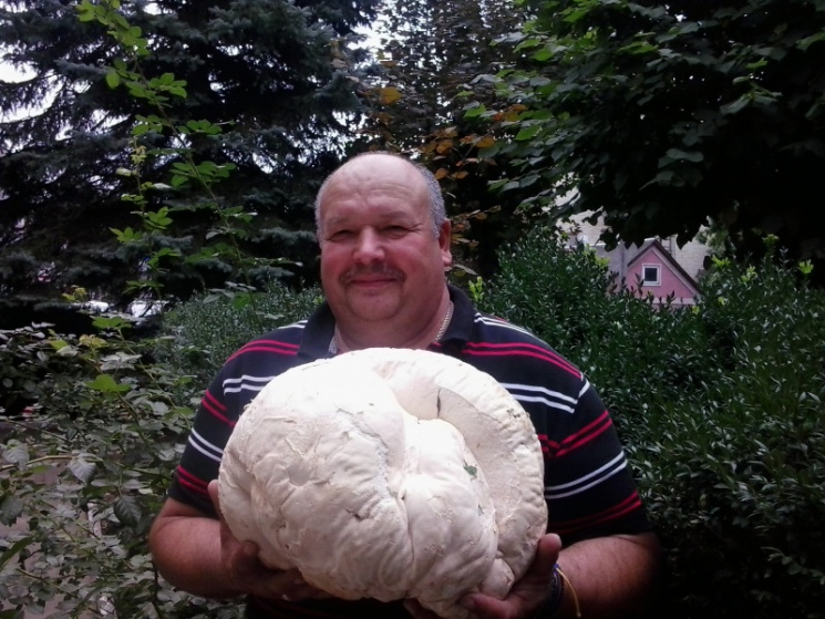 На Буковине нашли двухкилограммовый гриб…