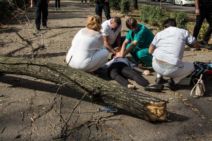 У Дніпрі гілка, що впала з дерева, вбила студентку бердянського вишу