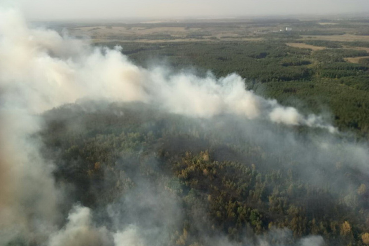 Масштабна лісова пожежа на Харківщині: О…