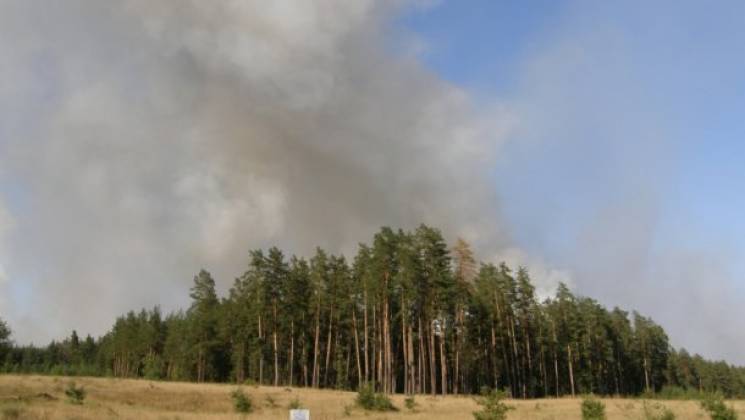 На Харківщині горить ліс: Пожежний гелік…