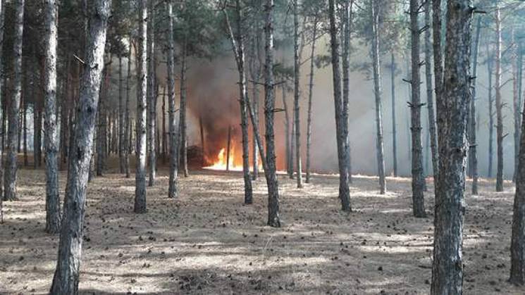 На Кубані оголосили високий рівень пожеж…